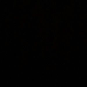 Meet your Posher, Jasiah